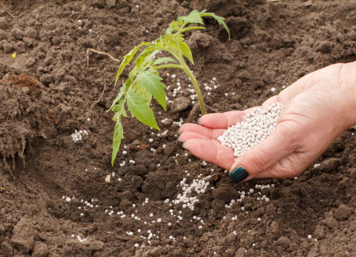 Селітра натрієва